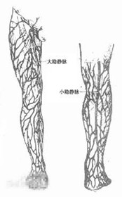 6_副本_副本.jpg